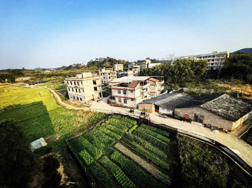 广西博白县水鸣镇江正村大鹏堂：“美食小村”的新年梦想