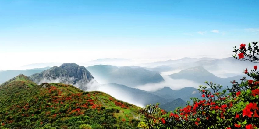 广西贺州姑婆山旅游度假区:走出一条绿色发展的“蝶变”之路(图2) 广西贺州姑婆山旅游度假区:走出一条绿色发展的“蝶变”之路(图2)