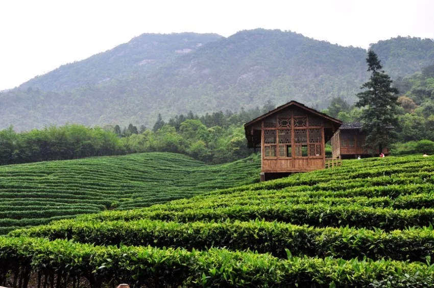 广西贺州姑婆山旅游度假区:走出一条绿色发展的“蝶变”之路(图3) 广西贺州姑婆山旅游度假区:走出一条绿色发展的“蝶变”之路(图3)