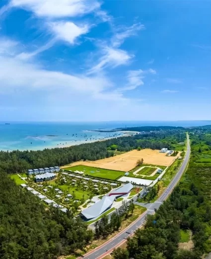 当公路变身风景道，海南做对了什么？(图2)