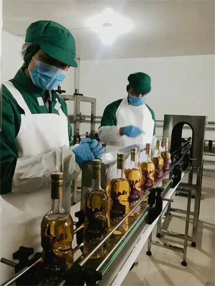 京蒙协作结硕果 鄂伦春获批“中国紫苏之乡”(图3)