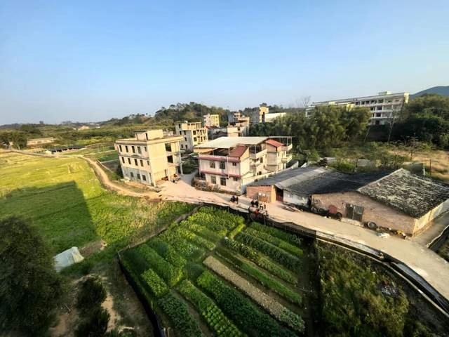 山古屯三百年：博白大鹏堂的“读书种子”代代相传