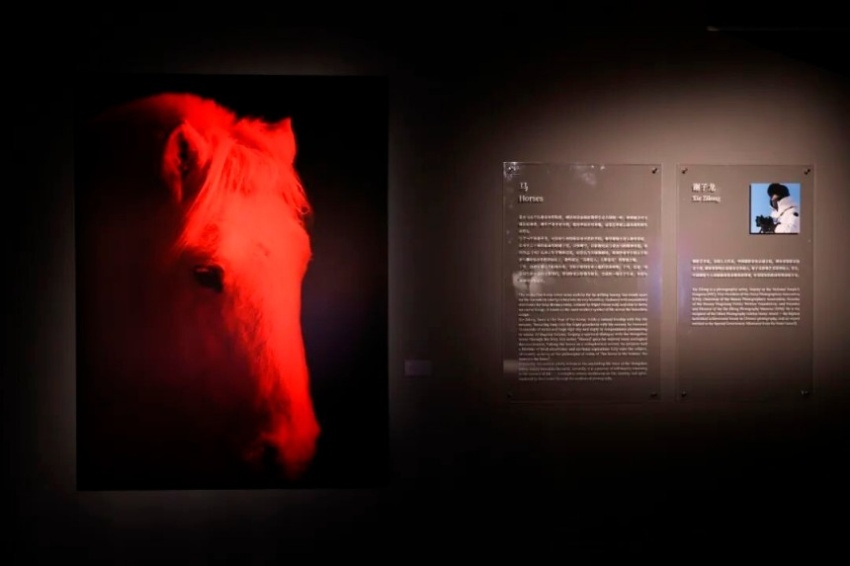 北京摄影周2026“迭现：十四种影像实践的共置艺术展”,多重经验拓展观看边界(图4)
