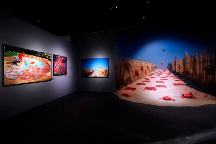 北京摄影周2026“迭现：十四种影像实践的共置艺术展”,多重经验拓展观看边界(图11)