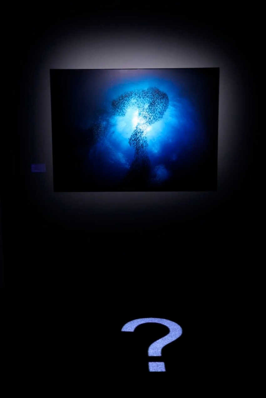 北京摄影周2026“迭现：十四种影像实践的共置艺术展”,多重经验拓展观看边界(图17)