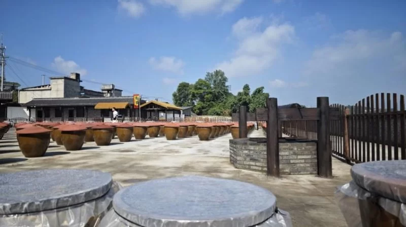 菩提树与龙女井——张仲安讲述四川青神县黑龙场的文化历史(图5) 菩提树与龙女井——张仲安讲述四川青神县黑龙场的文化历史故事(图5)