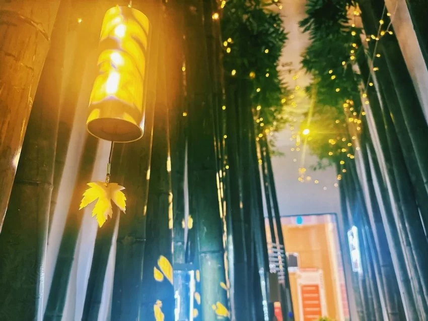 嘉兴市图书馆120周年再谱新篇,五感疗愈疗引领阅读深入精神新天地(图2) 嘉兴市图书馆120周年再谱新篇,五感疗愈疗引领阅读深入精神新天地(图2)