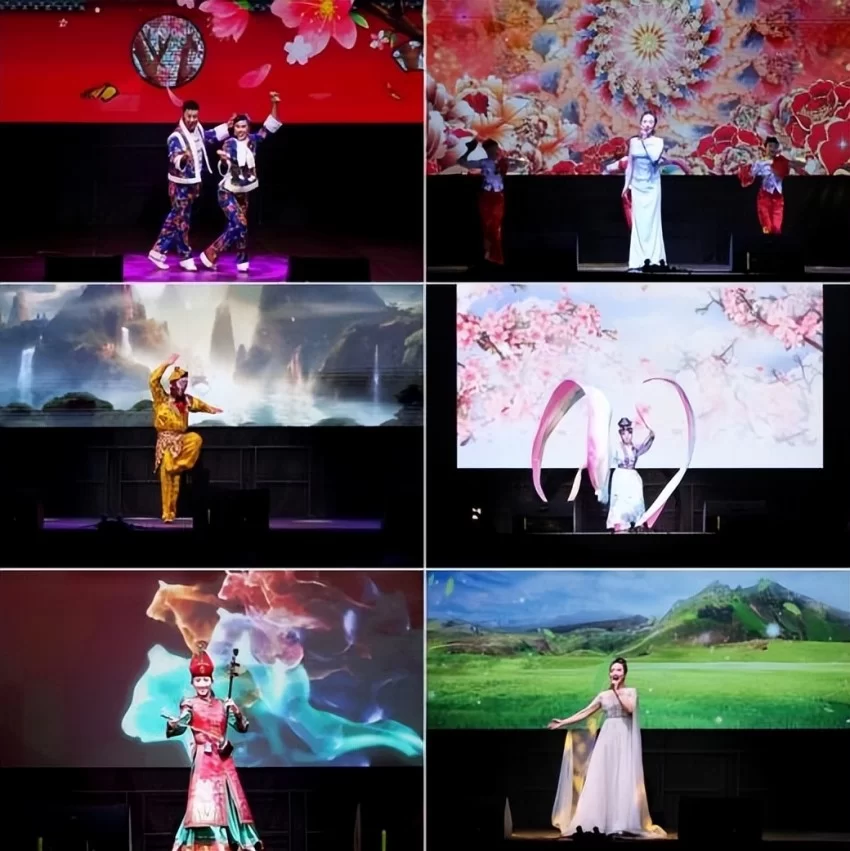 新春乐章唱响多瑙河畔——2025年欢乐春节演出活动在匈牙利卡辛茨巴茨卡市举办(图4)