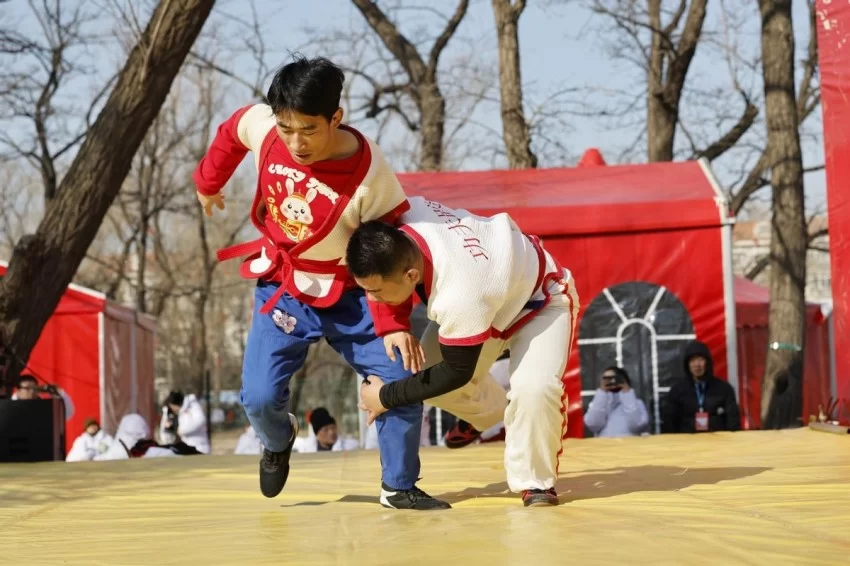 第三十七届地坛、第三十九届龙潭春节文化庙会圆满谢幕:传统焕新韵,文化续华章(图20) 第三十七届地坛、第三十九届龙潭春节文化庙会圆满谢幕:传统焕新韵,文化续华章(图20)