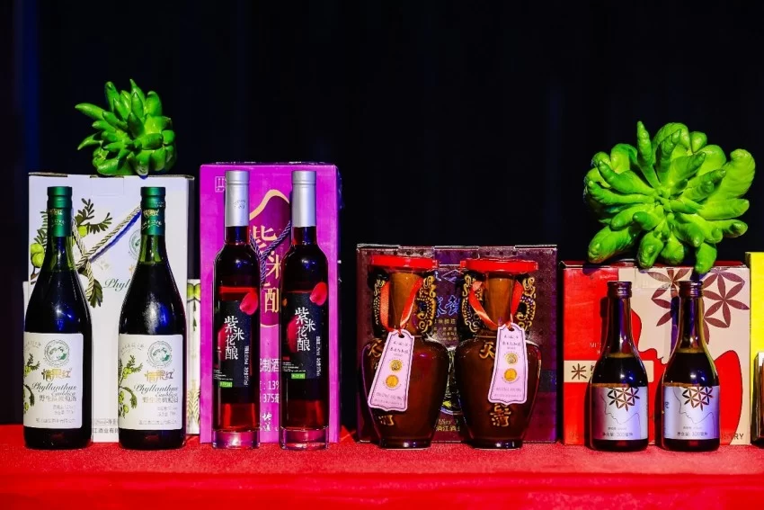 双生之美,理想之城——第十九届墨江北回归线国际双胞胎节正式启动(图13) 双生之美,理想之城——第十九届墨江北回归线国际双胞胎节正式启动(图13)