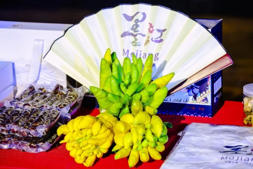 双生之美,理想之城——第十九届墨江北回归线国际双胞胎节正式启动(图14) 双生之美,理想之城——第十九届墨江北回归线国际双胞胎节正式启动(图14)