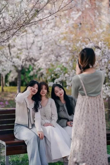 鹤壁樱花季惊艳上线!三大梦幻打卡地曝光,随手一拍就是朋友圈爆款!(图3) 鹤壁樱花季惊艳上线!三大梦幻打卡地曝光,随手一拍就是朋友圈爆款!(图3)