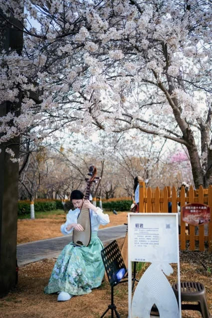 鹤壁樱花季探索传统文化赋能春日文旅新模式(图2) 鹤壁樱花季探索传统文化赋能春日文旅新模式(图2)
