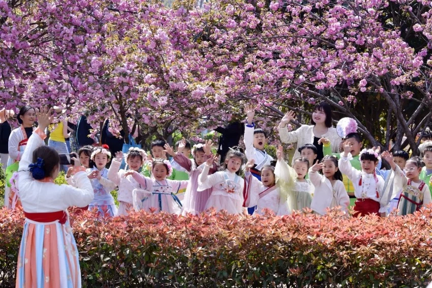 鹤壁樱花季探索传统文化赋能春日文旅新模式