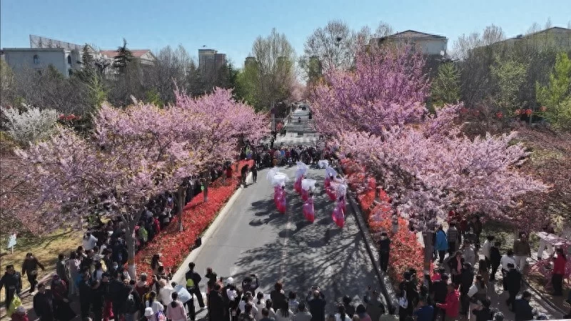 “诗河”起笔！河南鹤壁淇滨区文旅擘画十有城市新图景