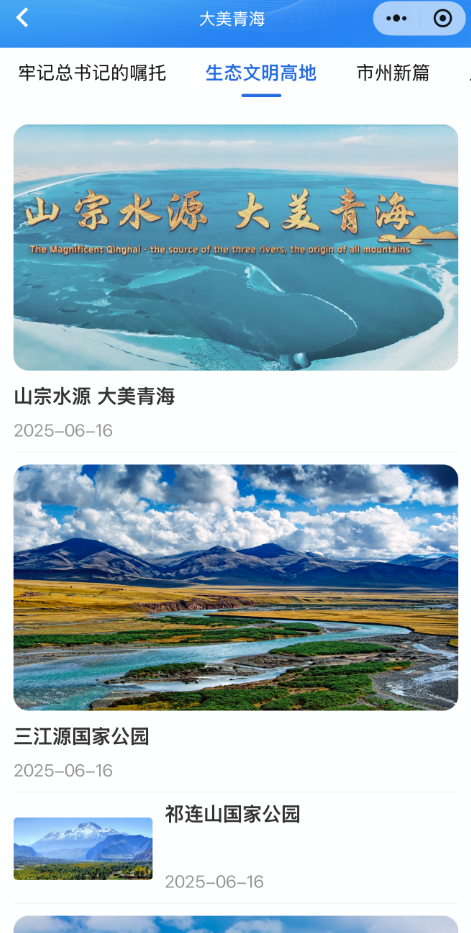 2025年“云上青洽会”：以“全方位立体交互矩阵”展现青海新风貌(图3)