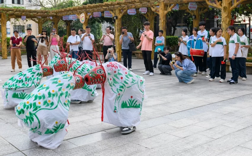 壮美广西 多彩边关(图4) 壮美广西 多彩边关(图4)