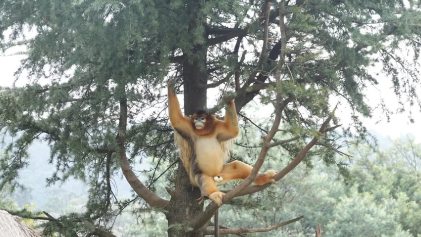 “聪明游”如何提供旅游新体验?(图3) “聪明游”如何提供旅游新体验?(图3)