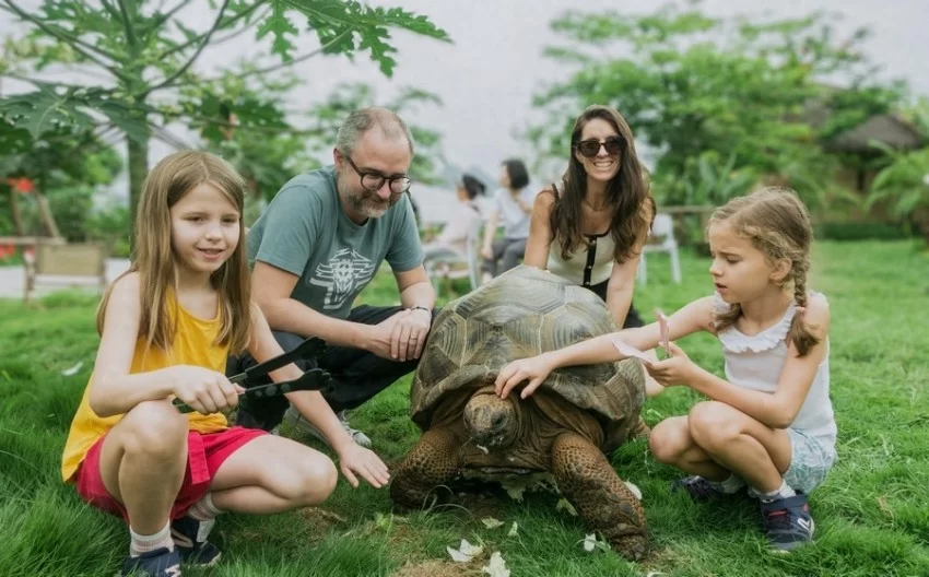 民宿集群点亮崇左乡村