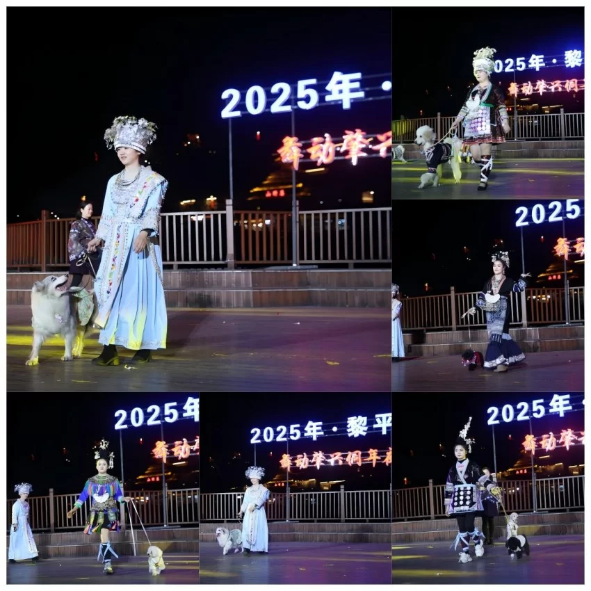 第二届气候变化与旅游发展大会在贵州黎平成功召开——共筑“零碳”文旅绿色新生态(图20) 第二届气候变化与旅游发展大会在贵州黎平成功召开——共筑“零碳”文旅绿色新生态(图20)